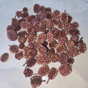 Casuarina - metál bronz 5 dkg, Kellékek & szerszámok, Dekorációs kellékek, Termések, terméscsomagok, , MESKA