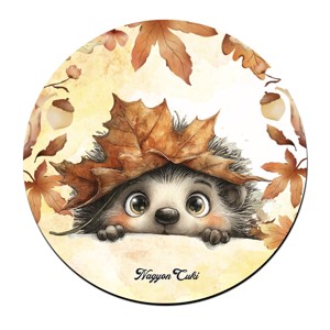 Cuki őszi kukucskáló süni mintás pohár alátét, , , MESKA