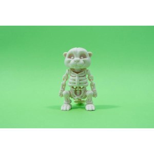 3D nyomtatott csont Hód, Otthon & Életmód, Dekoráció, Dísztárgy, Mindenmás, MESKA