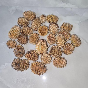 Salignum - natúr 5 dkg, Kellékek & szerszámok, Dekorációs kellékek, Termések, terméscsomagok, , MESKA