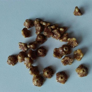 Cseh üveggyöngy virág - 7x5 mm - 20 db / csomag - barnás, Kellékek & szerszámok, Gyöngyfűzés kellékek, Üveggyöngy, , MESKA