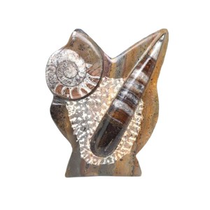 Álló Ortocerász és Ammonitesz fosszília dísz 15cm  Marokkói barna kőzet, Kellékek & szerszámok, Ásvány alapanyag, , MESKA