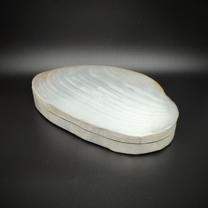 Krém-fehér kagyló ékszertartó doboz dekoratív nagy méret 18 cm, Ékszer, Ékszertartó, Ékszerdoboz, , MESKA