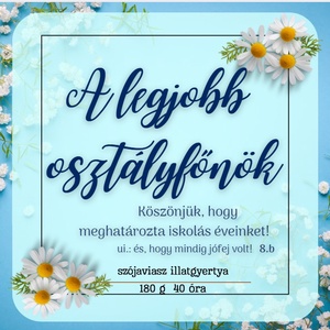 Egyedi, vicces, a legjobb osztályfőnök, tanár tégelyes gyertya ajándék - otthon & életmód - gyertya, illat, aroma - gyertya - Meska.hu