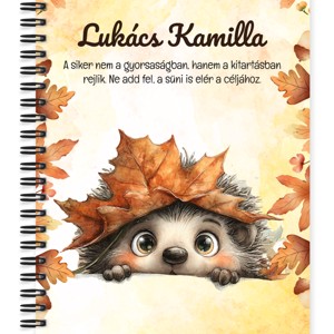 Személyre szabható - Cuki őszi kukucskáló süni mintás A5-ös füzet, Otthon & Életmód, Papír, írószer, Jegyzetfüzet & Napló, , MESKA