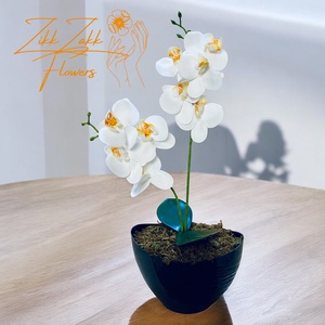 Fehér Orchidea - Tiszta Elegancia - otthon & életmód - dekoráció - virágdísz és tartó - csokor & virágdísz - Meska.hu