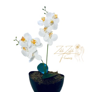 Fehér Orchidea - Tiszta Elegancia - otthon & életmód - dekoráció - virágdísz és tartó - csokor & virágdísz - Meska.hu