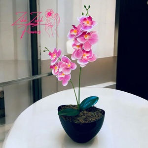 Rózsaszín Orchidea - Kifinomult Szépség, Otthon & Életmód, Dekoráció, Virágdísz és tartó, Csokor & Virágdísz, , MESKA