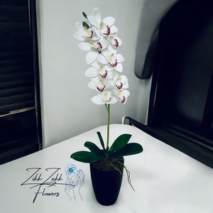 Tiszta Fehér Orchidea - Kifinomult Elegancia, Otthon & Életmód, Dekoráció, Virágdísz és tartó, Csokor & Virágdísz, , MESKA