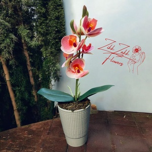 Púder Rózsaszín Orchidea - Kifinomult Elegancia, Otthon & Életmód, Dekoráció, Virágdísz és tartó, Cserép & Kaspó, , MESKA