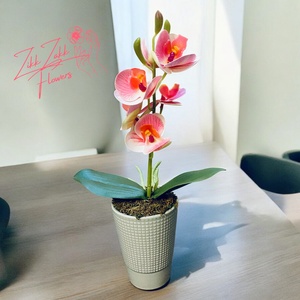 Púder Rózsaszín Orchidea - Kifinomult Elegancia - otthon & életmód - dekoráció - virágdísz és tartó - cserép & kaspó - Meska.hu