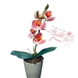 Púder Rózsaszín Orchidea - Kifinomult Elegancia - otthon & életmód - dekoráció - virágdísz és tartó - cserép & kaspó - Meska.hu