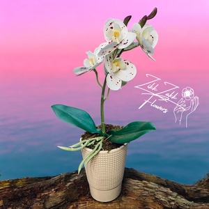 Fehér Orchidea - Elegáns Kifinomultság - otthon & életmód - dekoráció - virágdísz és tartó - csokor & virágdísz - Meska.hu