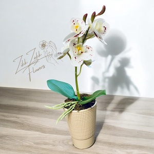 Fehér Orchidea - Elegáns Kifinomultság - otthon & életmód - dekoráció - virágdísz és tartó - csokor & virágdísz - Meska.hu