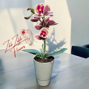 Mintás Orchidea - Stílusos Különlegesség, Otthon & Életmód, Dekoráció, Virágdísz és tartó, Virágbox, virágdoboz, , MESKA