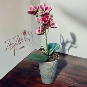 Mintás Orchidea - Stílusos Különlegesség, Otthon & Életmód, Dekoráció, Virágdísz és tartó, Virágbox, virágdoboz, , MESKA