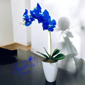 Kék Orchidea - otthon & életmód - dekoráció - virágdísz és tartó - csokor & virágdísz - Meska.hu