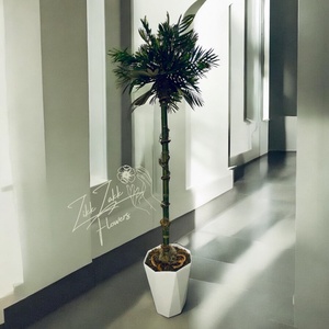 Zikk Zakk Tropicana Örök Pálma  150 cm - otthon & életmód - dekoráció - virágdísz és tartó - cserép & kaspó - Meska.hu