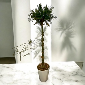 Zikk Zakk Tropicana Örök Pálma  150 cm - otthon & életmód - dekoráció - virágdísz és tartó - cserép & kaspó - Meska.hu