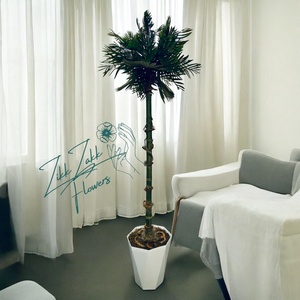 Zikk Zakk Tropicana Örök Pálma  150 cm, Otthon & Életmód, Dekoráció, Virágdísz és tartó, Cserép & Kaspó, , MESKA