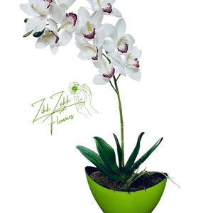Fehér Orchidea Kompozíció - otthon & életmód - dekoráció - virágdísz és tartó - csokor & virágdísz - Meska.hu