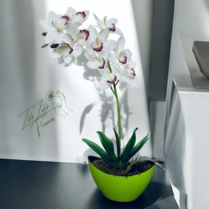 Fehér Orchidea Kompozíció - otthon & életmód - dekoráció - virágdísz és tartó - csokor & virágdísz - Meska.hu