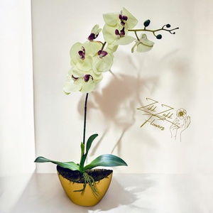 Krém Orchidea Kompozíció - otthon & életmód - dekoráció - asztal és polc dekoráció - asztaldísz - Meska.hu