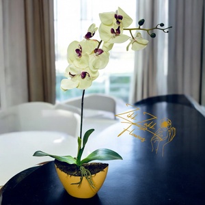 Krém Orchidea Kompozíció - otthon & életmód - dekoráció - asztal és polc dekoráció - asztaldísz - Meska.hu