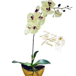 Krém Orchidea Kompozíció - otthon & életmód - dekoráció - asztal és polc dekoráció - asztaldísz - Meska.hu
