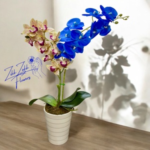 Bíbor és kék Orchidea  - otthon & életmód - dekoráció - virágdísz és tartó - csokor & virágdísz - Meska.hu