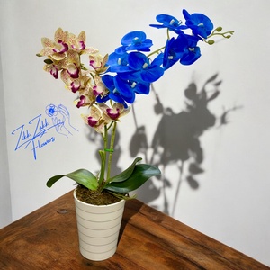 Bíbor és kék Orchidea  - otthon & életmód - dekoráció - virágdísz és tartó - csokor & virágdísz - Meska.hu