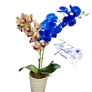 Bíbor és kék Orchidea  - otthon & életmód - dekoráció - virágdísz és tartó - csokor & virágdísz - Meska.hu