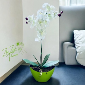 Friss Harmónia Orchidea Kompozíció, Otthon & Életmód, Dekoráció, Asztal és polc dekoráció, Asztaldísz, , MESKA