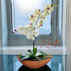 Fehér - Bézs Orchidea Dísz, Otthon & Életmód, Dekoráció, Virágdísz és tartó, Virágtartó, , MESKA