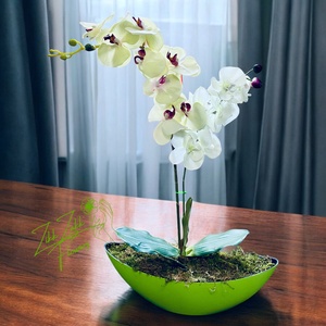 Zöld Orchidea Dísz, Otthon & Életmód, Dekoráció, Asztal és polc dekoráció, Asztaldísz, , MESKA