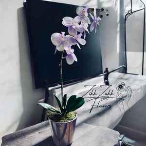 Lila orchidea virágzás - otthon & életmód - dekoráció - asztal és polc dekoráció - asztaldísz - Meska.hu