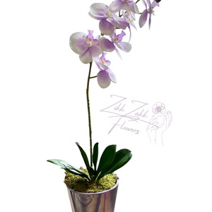 Lila orchidea virágzás - otthon & életmód - dekoráció - asztal és polc dekoráció - asztaldísz - Meska.hu
