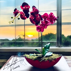 Elegáns vörös orchidea kompozíció, Otthon & Életmód, Dekoráció, Virágdísz és tartó, Váza, , MESKA