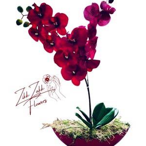 Vörös orchidea virágkompozíció - otthon & életmód - dekoráció - virágdísz és tartó - csokor & virágdísz - Meska.hu