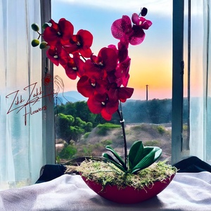 Vörös orchidea virágkompozíció, Otthon & Életmód, Dekoráció, Virágdísz és tartó, Csokor & Virágdísz, , MESKA