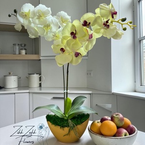 Örök orchidea kompozíció kaspóban – krémfehér, Otthon & Életmód, Virágdekoráció, Virágdíszek, Asztali virágdísz, , Örök orchidea kompozíció kaspóban – krémfehér

⸻

? Termékleírás:

Elegáns, letisztult megjelenésű ..., MESKA
