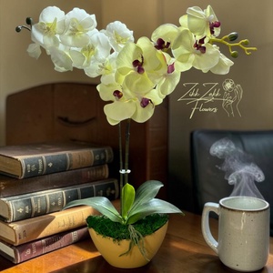 Örök orchidea kompozíció kaspóban � krémfehér - otthon & életmód - virágdekoráció - virágdíszek - asztali virágdísz - Meska.hu