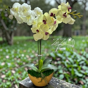 Örök orchidea kompozíció kaspóban � krémfehér - otthon & életmód - virágdekoráció - virágdíszek - asztali virágdísz - Meska.hu