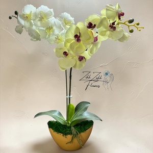 Örök orchidea kompozíció kaspóban � krémfehér - otthon & életmód - virágdekoráció - virágdíszek - asztali virágdísz - Meska.hu