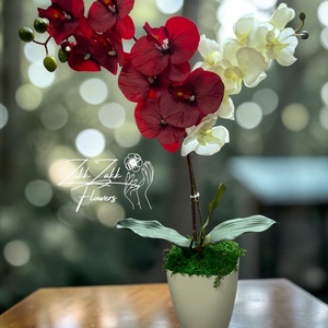 Örök orchidea kompozíció kaspóban � piros-fehér - otthon & életmód - virágdekoráció - virágdíszek - asztali virágdísz - Meska.hu