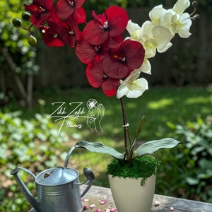 Örök orchidea kompozíció kaspóban � piros-fehér - otthon & életmód - virágdekoráció - virágdíszek - asztali virágdísz - Meska.hu