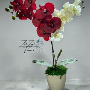 Örök orchidea kompozíció kaspóban � piros-fehér - otthon & életmód - virágdekoráció - virágdíszek - asztali virágdísz - Meska.hu