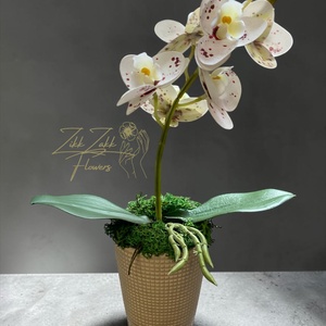 Örök orchidea kompozíció pöttyös virágokkal � bézs kaspóban, Otthon & Életmód, Virágdekoráció, Virágdíszek, Asztali virágdísz, , MESKA