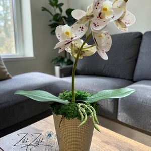 Örök orchidea kompozíció pöttyös virágokkal � bézs kaspóban - otthon & életmód - virágdekoráció - virágdíszek - asztali virágdísz - Meska.hu