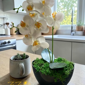 Örök fehér orchidea kompozíció sötétszürke kaspóban, Otthon & Életmód, Virágdekoráció, Virágdíszek, Asztali virágdísz, , MESKA
